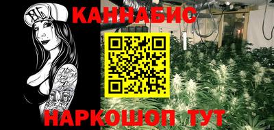 Альфа ПВП Гатчина
