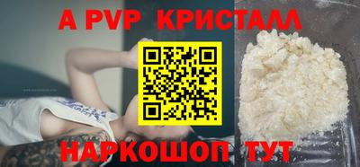 Альфа ПВП Гатчина