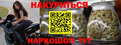 Альфа ПВП Гатчина