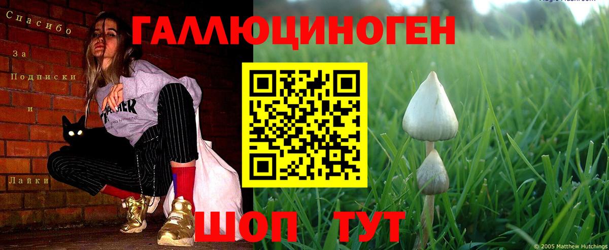 Галлюциногенные грибы мицелий Фурманов